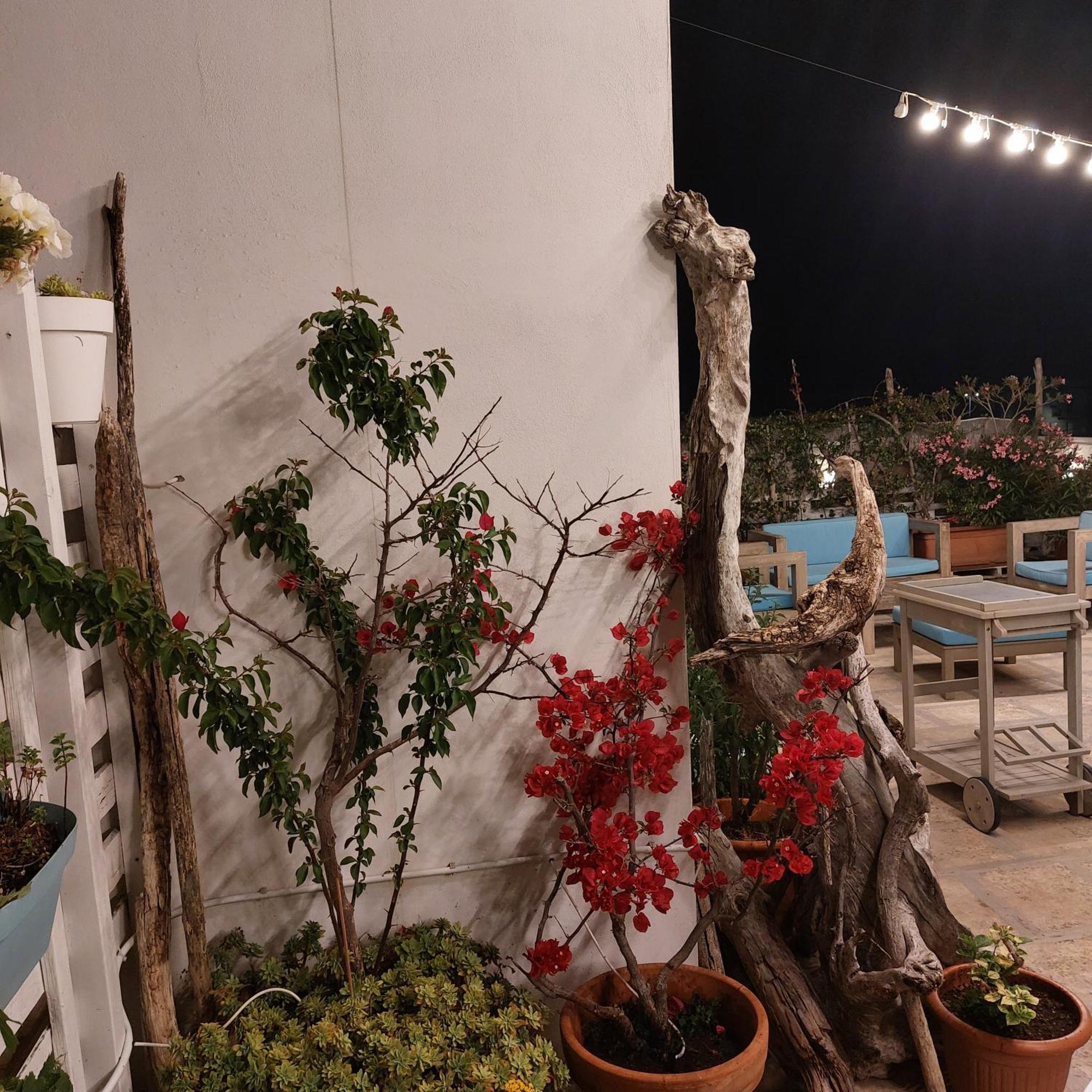 Mandorleolio Bed and Breakfast Polignano a Mare Exteriör bild